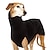 abordables Ropa para perro-Moda perro polar chaleco chaqueta invierno cálido pequeño mediano grande ropa para perros uso interior y exterior