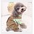 cheap Dog Clothes-Dog Cat Jumpsuit Solid Colored Classic Cool Casual / Daily Dog Clothes Puppy Clothes Dog Outfits Breathable Orange Khaki Green Costume for Girl and Boy Dog Cotton XS S M L XL