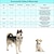 baratos Adestramento &amp; Treino de Comportamento para Cães-treinamento de cães coleira anti-latido coleira de choque tamanho ajustável elétrico cão gato animais de estimação impermeável anti-latido eletrônico / elétrico plástico de segurança eletrônico auxiliares de comportamento para animais de estimação