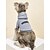 Χαμηλού Κόστους Ρούχα για σκύλους-Σκυλιά Φούτερ με Κουκούλα Ρούχα κουταβιών Σύνθημα Καθημερινά Αθλήματα Ρούχα για σκύλους Ρούχα κουταβιών Στολές για σκύλους Μαύρο Γκρίζο Πράσινο Στολές για κορίτσι και αγόρι σκυλί Ύφασμα Μαλλί XS Τ M L