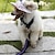 tanie Ubrania dla psów-czapki dla psów, czapki&amp;amp; bandana bandana&amp;amp; czapki sport kapelusz leopard kwiat styl płaszcze dla psów ocieplacze na głowę ubrania dla psów ubrania dla szczeniąt stroje dla psów kamuflaż kolor