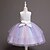 cheap Party Dresses-Kids Girls&#039; Dress Color Block Jacquard Sleeveless Layered Cute Flower Polyester Knee-length Tulle Dress Baby Pink Blue Purple