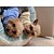 voordelige Hondenkleding-Hond T-shirt Puppykleding Gestreept Hondenkleding Puppykleding Hondenoutfits Zwart Geel Rood Kostuum voor mannetjes- en vrouwtjeshonden Katoen S M L XL XXL