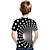 billige guttes 3d-t-skjorter-Gutt 3D Fargeblokk 3D Print T skjorte Kortermet 3D-utskrift Sommer Aktiv Sport Gatemote Polyester Rayon Barn 2-13 år utendørs Daglig