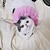 billiga Hundkläder-Katt Hund Klänningar Smoking Valpkläder Prinsessa Fest Cowboy Ledigt / vardag Bröllop Hundkläder Valpkläder Hundkläder Rosa Kostym för tikar och hundar Chiffong Denim XS S M L XL