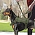 זול רצועות וקולרים לכלבים-כלבים חיות קטנות ופרוותיות - רתמה טקטית וסט עמיד בָּחוּץ ציד ריצה תרמילאים הליכה ניילון בינוני כלב כלב גדול צבע הסוואה צבע חאקי ירוק שחור 1set