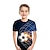 preiswerte 3D-T-Shirts für Jungen-Jungen 3D Fußball T-Shirt Kurzarm 3D-Druck Sommer Aktiv Strassenmode Polyester kinderkleidung 3-12 Jahre Outdoor Täglich