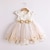 billige Kjoler-småbarns jentekjole jacquard festsløyfe hvit knelang ermeløs søte søte kjoler sommer slank 1-4 år