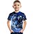 cheap Tees &amp; Shirts-Kids Boys&#039; T shirt Short Sleeve Light Blue Lake blue Navy 3D Print Dinosaur Animal School Daily Indoor Basic Cool 3-12 Years / Summer