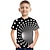 cheap Boy&#039;s 3D T-shirts-Boys 3D Color Block Optical Illusion T shirt Short Sleeve 3D Print Summer Active Sports Streetwear Polyester Rayon Kids 2-13 Years Outdoor Daily