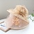 cheap Party Hats-Hats Headwear Tulle Bucket Hat Straw Hat Sun Hat Casual Holiday Kentucky Derby Horse Race Ladies Day Vintage Style Elegant Lace With Feather Lace Headpiece Headwear