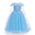 זול שמלות-ילדים בנות תלבושות נסיכת אלסה קפואות שמלת פתית שלג פרח טול שמלת מסיבת יום הולדת פאייטים טלאים באורך מלא כחול מקסי קצר שרוולים אלגנטיים שמלות קוספליי בכושר רגיל