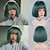 levne Kostýmová paruka-11palcová syntetická krátká rovná paruka s ofinou, žáruvzdorná, zelené lolita anime cosplay paruky pro ženy na denní vlasy