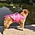 halpa Koiran vaatteet-ripstop -koiran pelastusliivi lemmikkieläinten pelastusliivi pelastuskahvalla hengenpelastussuojus pienille keskikokoisille koirille