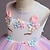 cheap Party Dresses-Kids Girls&#039; Dress Color Block Jacquard Sleeveless Layered Cute Flower Polyester Knee-length Tulle Dress Baby Pink Blue Purple