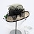זול כובע מסיבות-כובעים ביגוד לראש כובעי קש טול קש כובע דלי כובע קש כובע שמש קזו&#039;אל חגים גביע מלבורן סגנון וינטאג&#039; אלגנטית עם נוצות תחרה כיסוי ראש כיסוי ראש