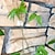 abordables accessoires d&#039;entretien des plantes-20pcs plantes grimpantes clips de montage mural, fixateur de vigne invisible crochet auto-adhésif plante vigne traction mur vignes montage mur collant crochet vignes clip de fixation support de vignes