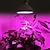 abordables Lampe de croissance LED-lumière de croissance des plantes double tête à spectre complet led élèvent la lumière e27 lampe phyto éclairage intérieur avec deux têtes prise européenne pour les semis fleur fitolamp croissance