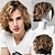 Недорогие Мужские парики-Модный мужской парик с короткими боковыми взрывами colormix волнистый синтетический мужской парик