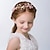 cheap Kids&#039; Headpieces-Kids Baby Girls&#039; New Children&#039;s Hair Accessories Crown Girl Headdress Princess Headband Girl Head Flower Birthday Show Accessories Pink