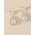 cheap Earrings-1 Pair Drop Earrings Earrings Women&#039;s Wedding Birthday Gift Briolette Imitation Diamond Alloy