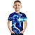ieftine tricouri 3d pentru băieți-Băieți Tricou Manșon scurt Tricou Animal Tipărire 3D Activ Misto Poliester Celofibră Școală În aer liber Zilnic Copii 3-12 ani Grafică imprimată 3D Cămașă