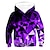 cheap Boy&#039;s 3D Hoodies&amp;Sweatshirts-Kids Boys&#039; Hoodie &amp; Sweatshirt Long Sleeve Graphic 3D Print Blue Purple Rainbow Children Tops Active New Year
