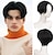 cheap Mens Wigs-Brown Wigs for Men Short Curly Synthetic Hair Wigs for Men Boy Costume Cosplay Party Natural Black Heat Resistant Fake Hair