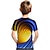 billige guttes 3d-t-skjorter-Gutt 3D Fargeblokk 3D Print T skjorte Kortermet 3D-utskrift Sommer Aktiv Sport Gatemote Polyester Rayon Barn 3-12 år Skole utendørs Daglig