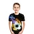 billiga pojkes 3d t-shirts-Barnens Dag Pojkar 3D Grafisk Fotboll 3D T-shirt Kortärmad 3D-tryck Sommar Aktiv Sport Ledigt vardag Polyester Barn 2-13 år