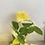 billige LED-kædelys-rose blomst vedbend blad ledet fe lysstreng lys 2m 20 led rose krans kobbertråd lys til bryllupsfest begivenhed hjem indretning varm hvid belysning aa batteristrøm