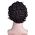cheap Mens Wigs-Black Wigs for Men Men Short Curly Synthetic Wigs for Men&#039;s Daily Wig Male Curly Natural Hair Heat Resistant Breathable