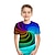 baratos camisetas 3d menino-Para Meninos 3D Bloco de cor Arco-Íris 3D impressão Camisa Manga Curta Impressão 3D Verão Ativo Esportes Roupa de rua Poliéster Infantil Bébé 2-13 anos Diário