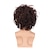 cheap Mens Wigs-Men&#039;s Short Brown Curly Layered Wig Fluffy Bangs Halloween Costume Hair Party Cosplay Full Wig