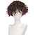 cheap Mens Wigs-Brown Wigs for Men Short Curly Synthetic Hair Wigs for Men Boy Costume Cosplay Party Natural Black Heat Resistant Fake Hair