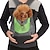 abordables Básicos de viaje para perros-Gato Perro Mochila de viaje Carrier Bag Mochila para gato Portátil Transpirable Un Color Nailon Cachorro Perro pequeño Morado Amarillo Rojo