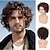 cheap Mens Wigs-Men&#039;s Short Brown Curly Layered Wig Fluffy Bangs Halloween Costume Hair Party Cosplay Full Wig