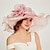 cheap Party Hats-Vintage Style Elegant Organza / Polyester / Polyamide Fascinators / Hats / Headwear with Feather / Appliques / Ruching 1 PC Casual / Holiday Headpiece