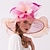 Χαμηλού Κόστους Καπέλα για Πάρτι-Γοητευτικά Καπέλα Καλύμματα Κεφαλής Οργάντζα Πολυεστέρας / Πολυαμίδη Τύπου bucket Ψάθινο καπέλο Καπέλο ηλίου Causal Αργίες Κύπελλο Μελβούρνης κοκτέιλ Royal Astcot Πεπαλαιωμένο Στυλ Κομψό Με