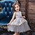 cheap Dresses-Kids Little Girls&#039; Dress Floral Solid Colored Tulle Dress Party Wedding Birthday Embroidered Gray Knee-length Sleeveless Princess Dresses Children&#039;s Day Fall Spring Slim 1-5 Years