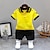 billige Sett-Gutt 3D Geometrisk T-skjorter og shorts Kortermet Sommer Grunnleggende Bomull Baby 1-5 år Skole Dagligdagstøy Fritid / hverdag Standard passform