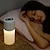 billige Indretnings- og natlamper-trådløs luftfugter aroma diffuser 2000 mah batteri genopladelig æterisk olie diffuser dobbelt dyse tåge maker luftfugter