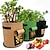 お買い得  植物栽培バッグ-2pcs植物栽培バッグホームガーデンポテトポット温室野菜栽培バッグ保湿ジャーディン垂直ガーデンバッグツール