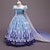 Χαμηλού Κόστους Στολές με Θέμα Ταινίες &amp; TV-Frozen Πριγκίπισσα Έλσα Φορέματα Μανδύας Φόρεμα κορίτσι λουλουδιών Κοριτσίστικα Στολές Ηρώων Ταινιών Στολές Ηρώων ΜΑΣΚΕ παρτυ Μπλε Η Μέρα των Παιδιών Μασκάρεμα Γάμου Επισκέπτης γάμου Φόρεμα