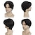 abordables Perruque homme-perruque médiévale perruques pour hommes cheveux courts et raides cheveux synthétiques au milieu adaptés aux jeux de rôle quotidiens pour hommes et chapeaux noirs