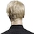 olcso Jelmezparókák-rövid szőke férfi szintetikus parókák amerikai európai 6 hüvelykes egyenes férfi paróka ingyenes hajsapkával hőálló szőke haj halloween paróka