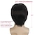 cheap Mens Wigs-Medieval Wig Mens Wigs Short Straight Hair Synthetic Hair In The Middle Suitable for Mens Daily Role Playing Parties and Hats Black