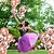 abordables Temporada de Graduación-Globos de látex de confeti de oro rosa, globos de cumpleaños de 12 pulgadas con confeti de papel de oro rosa para bodas, fiestas de graduación, decoraciones para fiestas de cumpleaños (30 piezas)