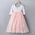 cheap Girls&#039; Dresses-Kids Little Dress Girls&#039; Color Block Special Occasion Swing Dress Backless Mesh Lace Blushing Pink Wine White Maxi Long Long Sleeve Sweet Dresses Children&#039;s Day Regular Fit 4-12 Years