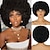cheap Black &amp; African Wigs-Blonde Afro Curly Wig Synthetic Wig Wine/Black/Gray/Ombre/Brown Wigs
